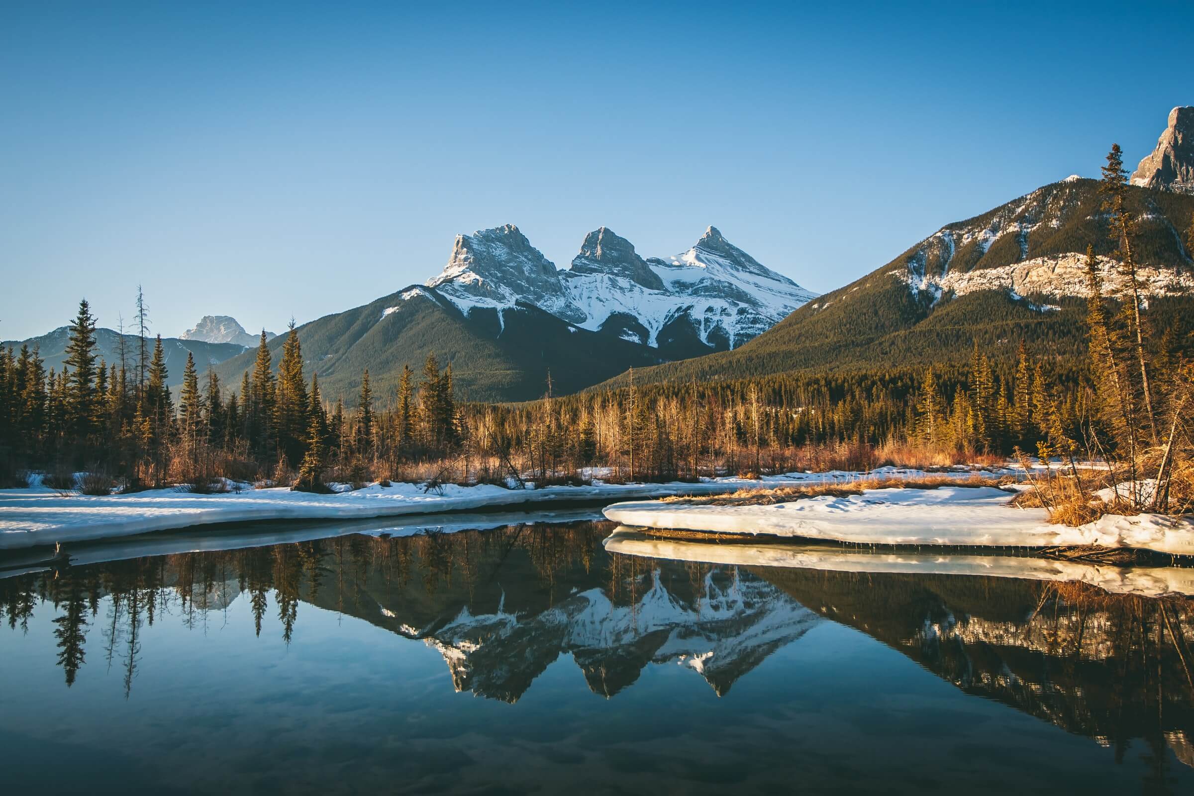 you-ll-fall-for-these-canmore-vacation-rentals-here-s-why